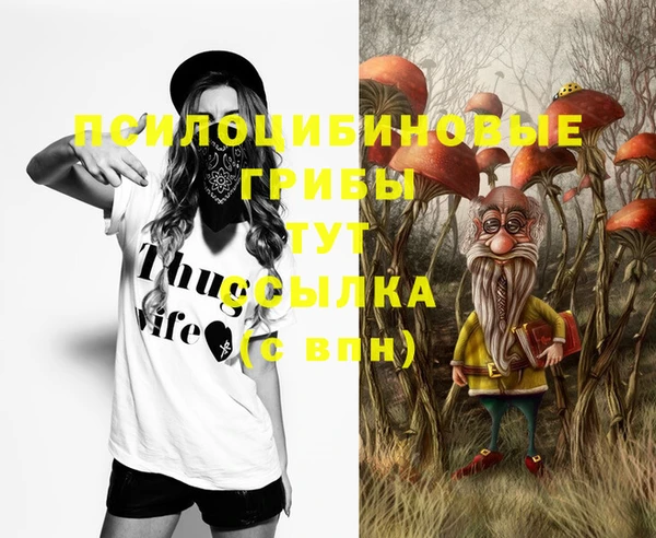 экстази Алексеевка