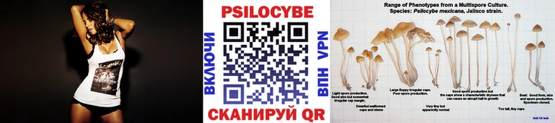 Псилоцибиновые грибы ЛСД  Бобров 